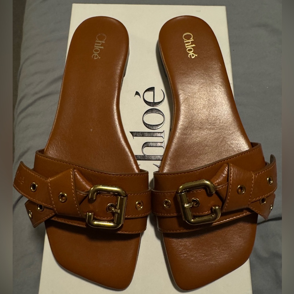 Chloé Clay brown buckle leather slides